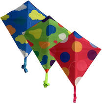 Rhombus Diamond junior vlieger