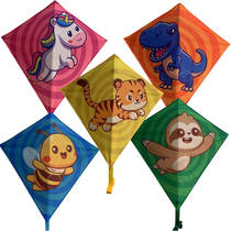 Rhombus Sky Friends junior vlieger