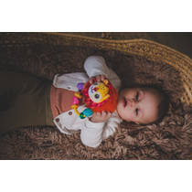 VTech Baby dierenvriendjes rammelaar leeuw productafbeelding 5