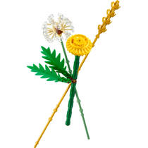 LEGO Botanicals veldbloemen 30701 productafbeelding 2