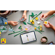 LEGO Botanicals klein zomers boeket 10347 productafbeelding 7