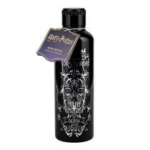 Harry Potter metalen waterfles - 500 ml