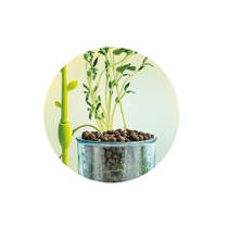 Clementoni Wetenschap & Spel mini-moestuin productafbeelding 5