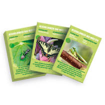 Clementoni Wetenschap & Spel insecten observatorium productafbeelding 4