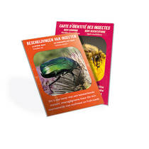 Clementoni Wetenschap & Spel insecten observatorium productafbeelding 6