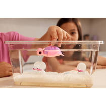 Pets Alive mama schildpad en baby S1 productafbeelding 8