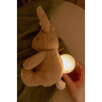 Little Dutch Newborn Naturals Licht & Geluid knuffelkonijn productafbeelding 3