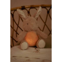 Little Dutch Newborn Naturals Licht & Geluid knuffelkonijn productafbeelding 8