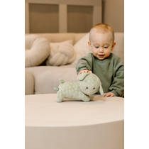 nijntje snuffie knuffel Green Flower - 25 cm productafbeelding 5