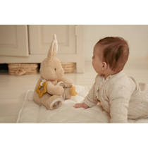 Little Dutch Newborn Naturals activiteitenknuffel Baby Bunny productafbeelding 5