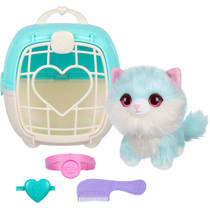 Scruff-a-Luv huisdier - blauw productafbeelding 7