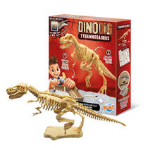 Dino Dig set