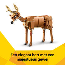 LEGO Creator 3-in-1 prachtig paard 31166 productafbeelding 9