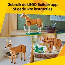 LEGO Creator 3-in-1 prachtig paard 31166 productafbeelding 10