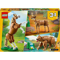 LEGO Creator 3-in-1 prachtig paard 31166 productafbeelding 5