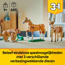 LEGO Creator 3-in-1 prachtig paard 31166 productafbeelding 6