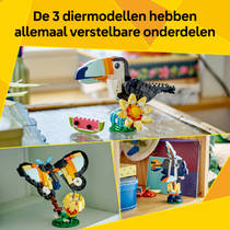 LEGO Creator 3-in-1 wilde dieren: tropische toekan 31173 productafbeelding 9