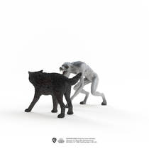 Weer Wolf : de uitgebreide gids over de weer wolf -mythe