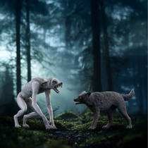 schleich WIZARDING WORLD weerwolf vs Faunaat 14906 productafbeelding 6
