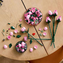 LEGO Botanicals roze rozenboeket 10374 productafbeelding 10