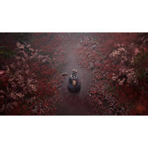 Silent Hill F PS5 productafbeelding 3