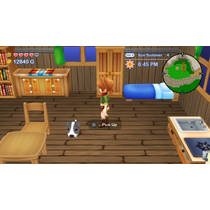 Harvest Moon: Lost Valley & Skytree Village Nintendo Switch productafbeelding 4