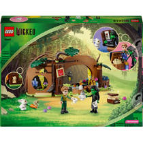 LEGO Wicked Elphaba's schuilhut 75687 productafbeelding 4