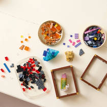LEGO Ideas mineralenverzameling 21362 productafbeelding 9