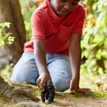 schleich WILD LIFE mannelijke gorilla 14770 productafbeelding 2