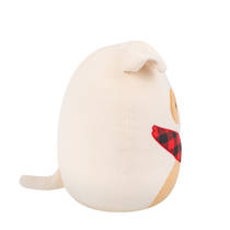 Squishmallows Brock de bruinwitte bulldogknuffel - 30 cm productafbeelding 4