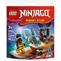 LEGO NINJAGO Arin vs. Draconiër 30700 productafbeelding 2