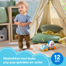 Fisher-Price Vriendschapsbos meetrekcamper productafbeelding 4