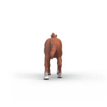 schleich HORSE CLUB Engelse volbloedhengst 14915 productafbeelding 4