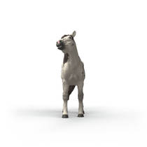 schleich HORSE CLUB Knabstrupper ruin 14916 productafbeelding 3