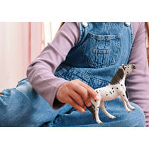 schleich HORSE CLUB Knabstrupper ruin 14916 productafbeelding 7