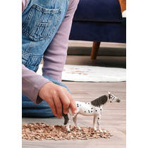 schleich HORSE CLUB Knabstrupper ruin 14916 productafbeelding 6