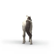 schleich HORSE CLUB Knabstrupper ruin 14916 productafbeelding 4
