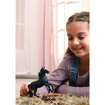 schleich HORSE CLUB Lusitano-hengst 14918 productafbeelding 6