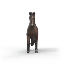 schleich HORSE CLUB KWPN-ruin 14919 productafbeelding 3