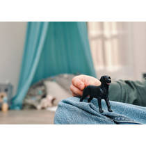 schleich FARM WORLD zwarte Labrador-retriever pup 14922 productafbeelding 5