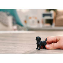 schleich FARM WORLD zwarte labrador 14923 productafbeelding 5