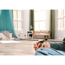 schleich FARM WORLD Duitse herdershond 14924 productafbeelding 5