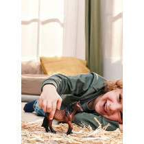 schleich FARM WORLD Noord-Zweedse koudbloedmerrie 14929 productafbeelding 7