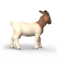 schleich FARM WORLD boergeit 14929 productafbeelding 2