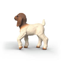 schleich FARM WORLD boergeitenlam 14930 productafbeelding 2