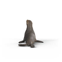 schleich WILD LIFE zeeleeuw 14933 productafbeelding 3