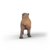 schleich WILD LIFE capibara 14934 productafbeelding 3