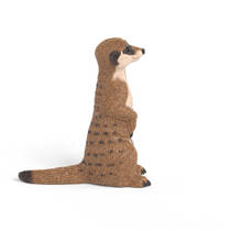 schleich WILD LIFE stokstaartje 14935 productafbeelding 2