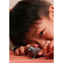 schleich WILD LIFE wasbeer 14937 productafbeelding 2