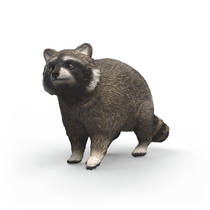 schleich WILD LIFE wasbeer 14937